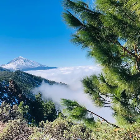 Marina Palace * Playa Paraíso