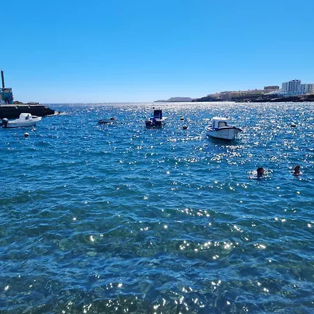 Marina Palace