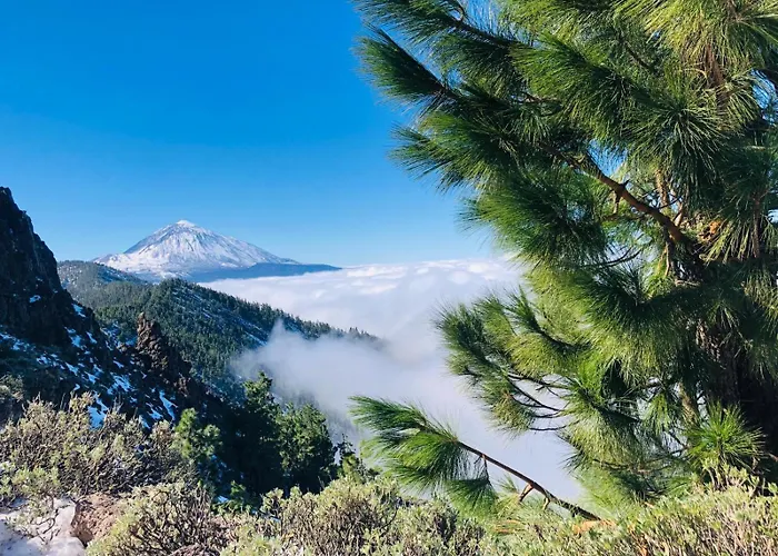 Marina Palace * Playa Paraiso (Tenerife)
