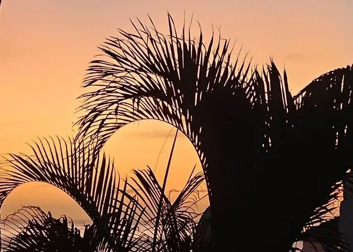 Appartement Marina Palace