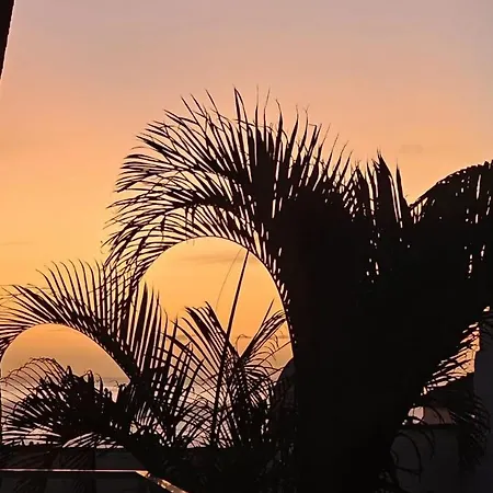 아파트 Marina Palace