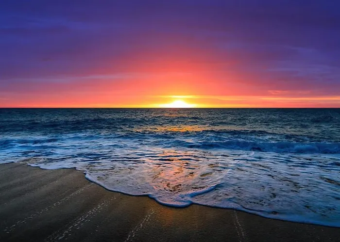 Marina Palace 플라야 파라이소